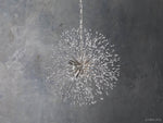 Dandelion Whimsical Crystal Round Chandelier