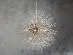Dandelion Whimsical Crystal Round Chandelier