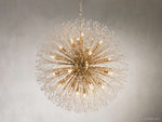 Dandelion Whimsical Crystal Round Chandelier