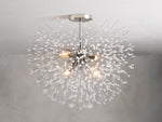 Dandelion Whimsical Crystal Flush Mount