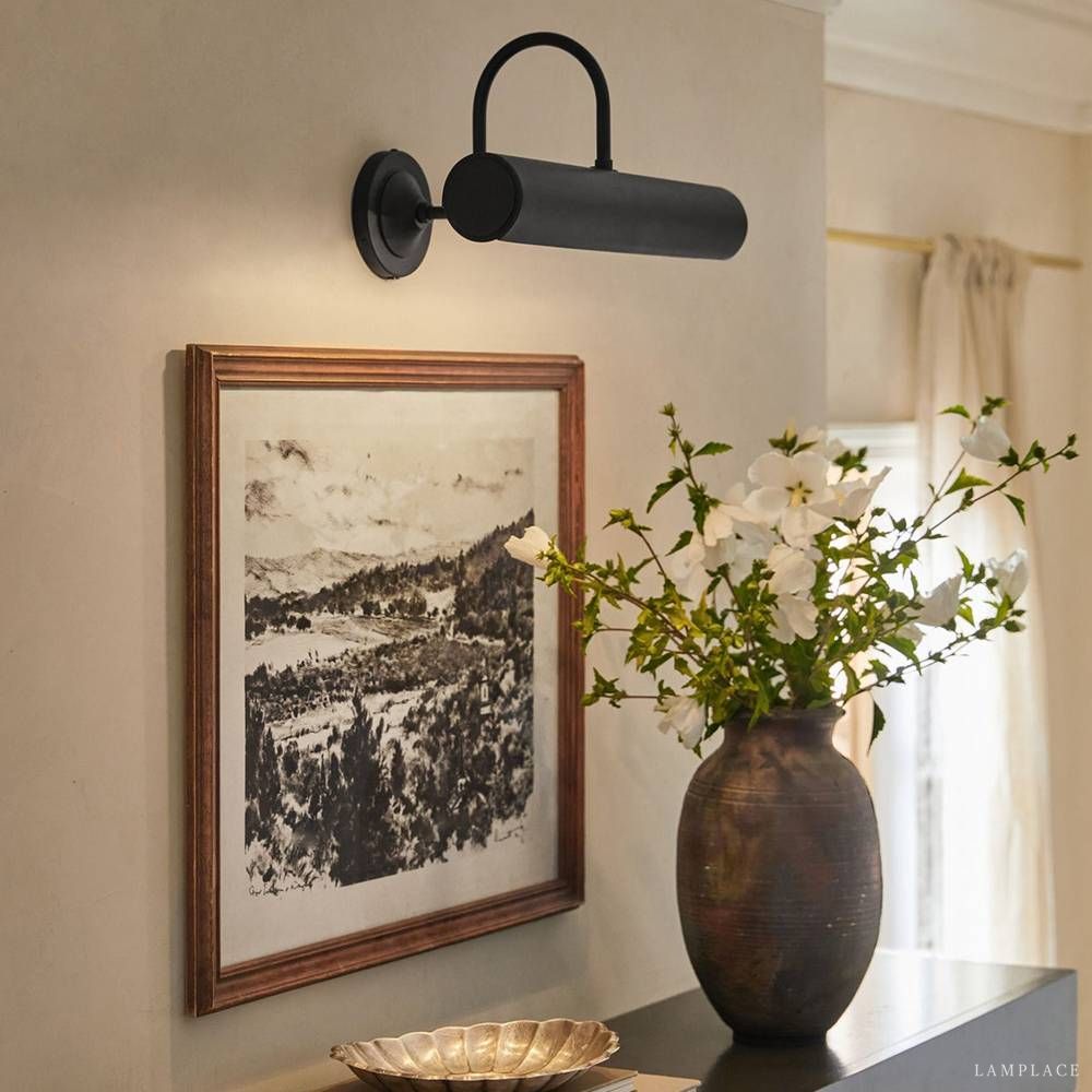 Calvire Elegant Form Picture Light