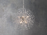 Dandelion Whimsical Crystal Round Chandelier