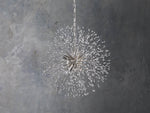 Dandelion Whimsical Crystal Round Chandelier