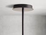 Roscoe Handblown Globe Chandelier