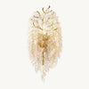 Arlissea Branching Glass Wall Sconce