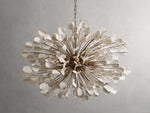 Lunaria Hushed Bloom Round Chandelier